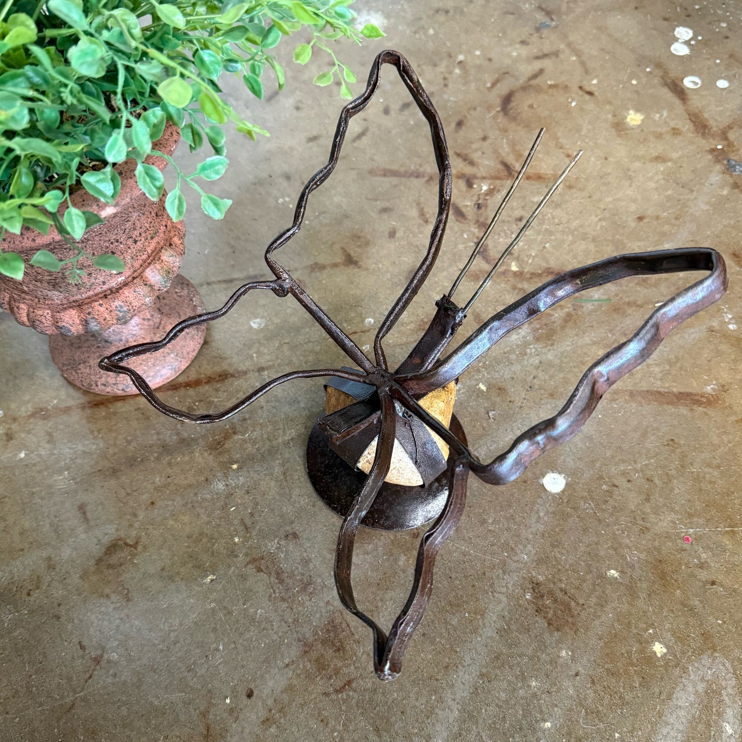 Butterfly on Caged Rock