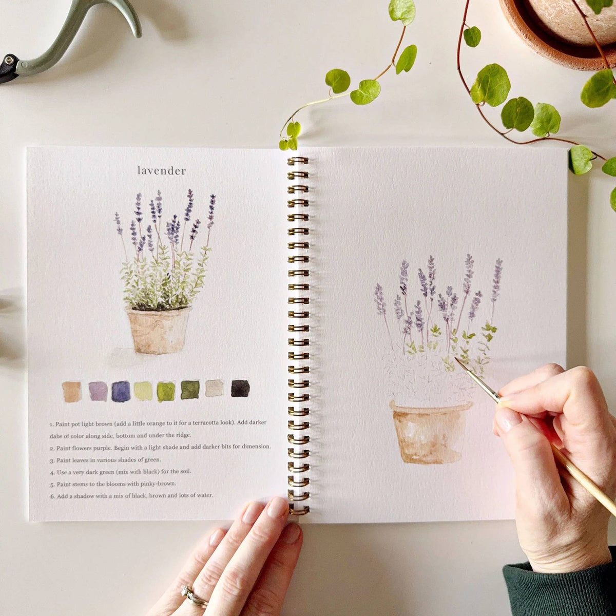 Watercolor Workbook