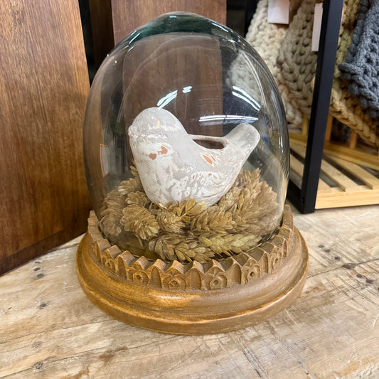 Glass Cloche + Wood Base