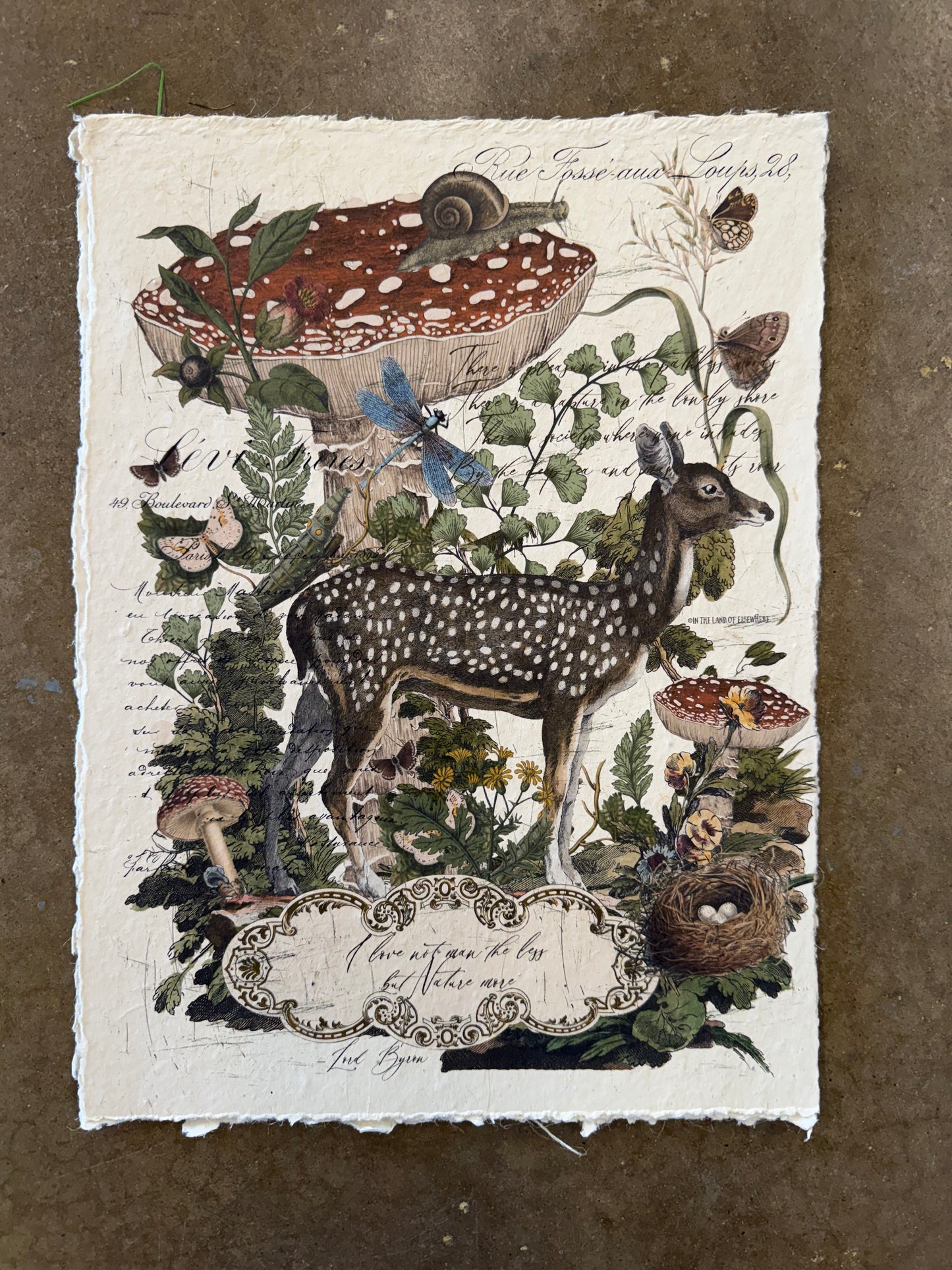 Paper Print Artwork