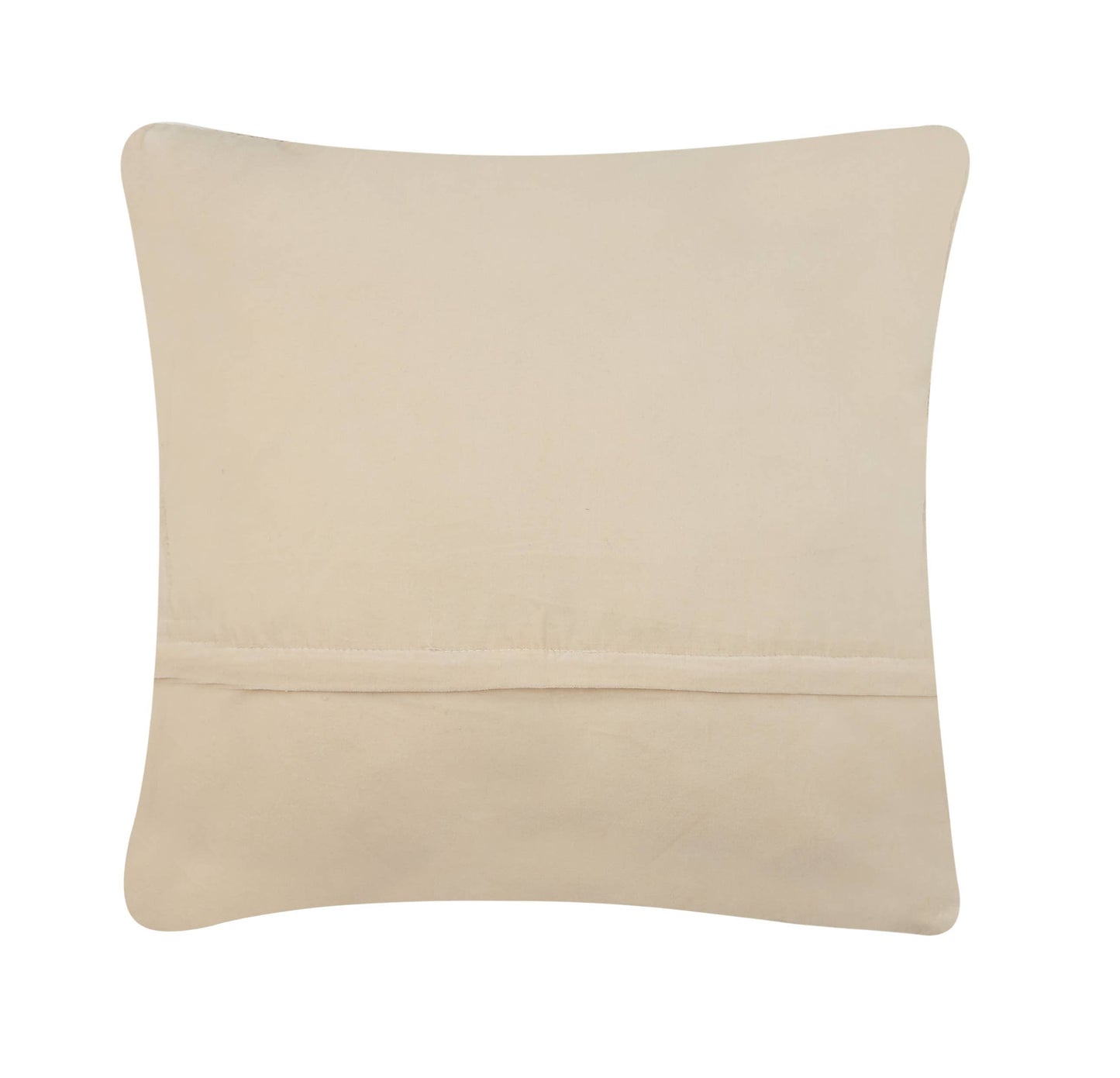 Garden Beetle Hook Pillow