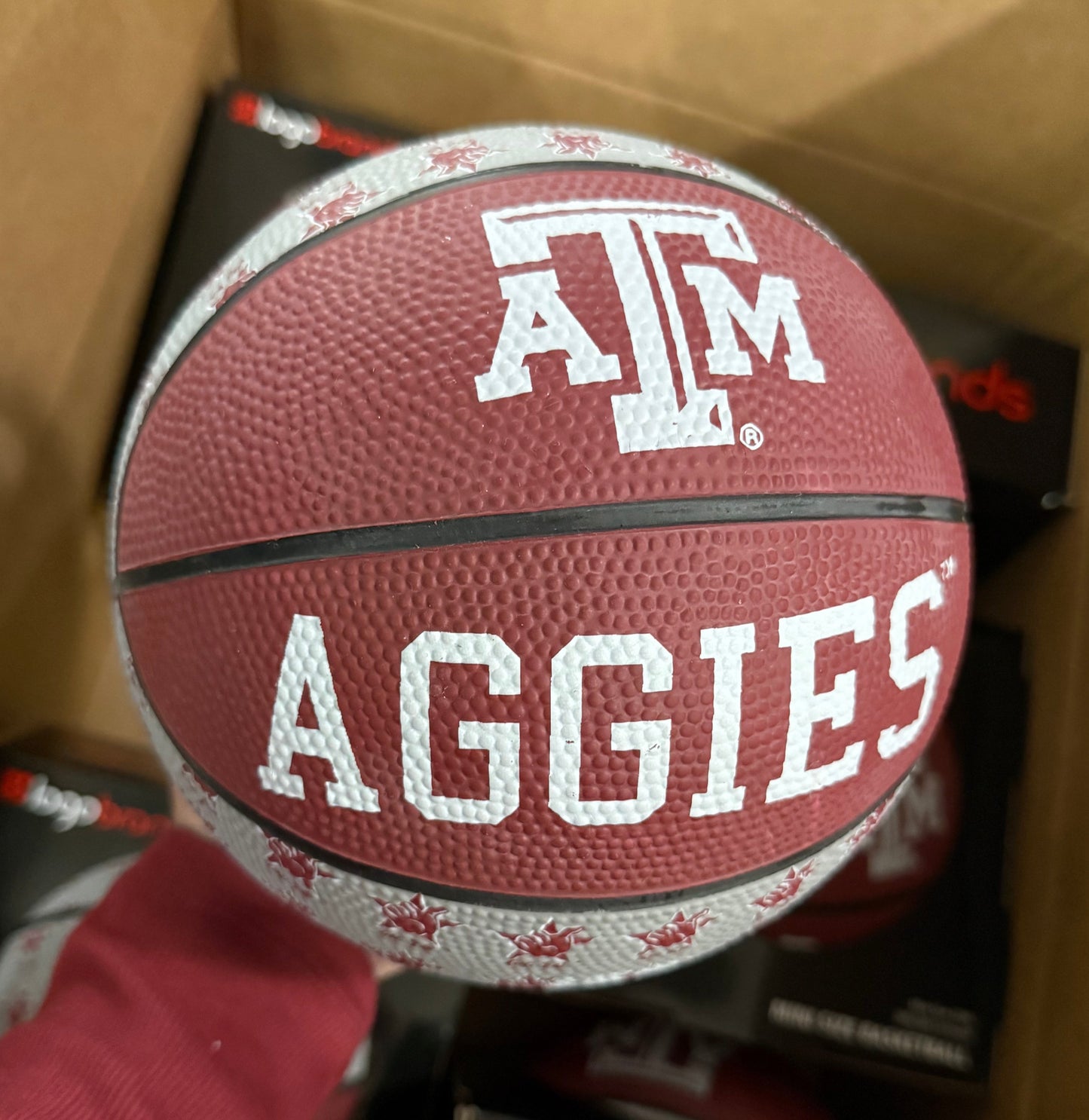 Mini Aggie Basketball