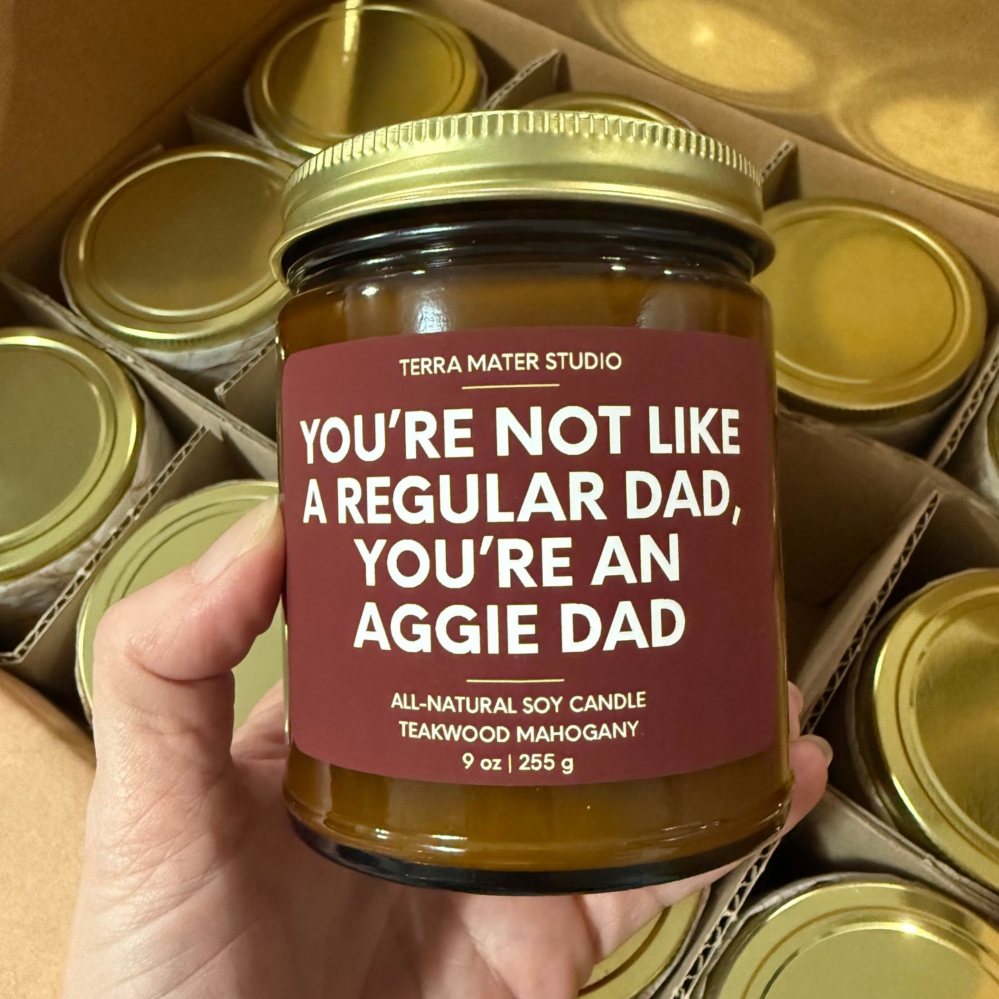 You're Not Like A Regular Dad, You're An Aggie Dad Soy Candle