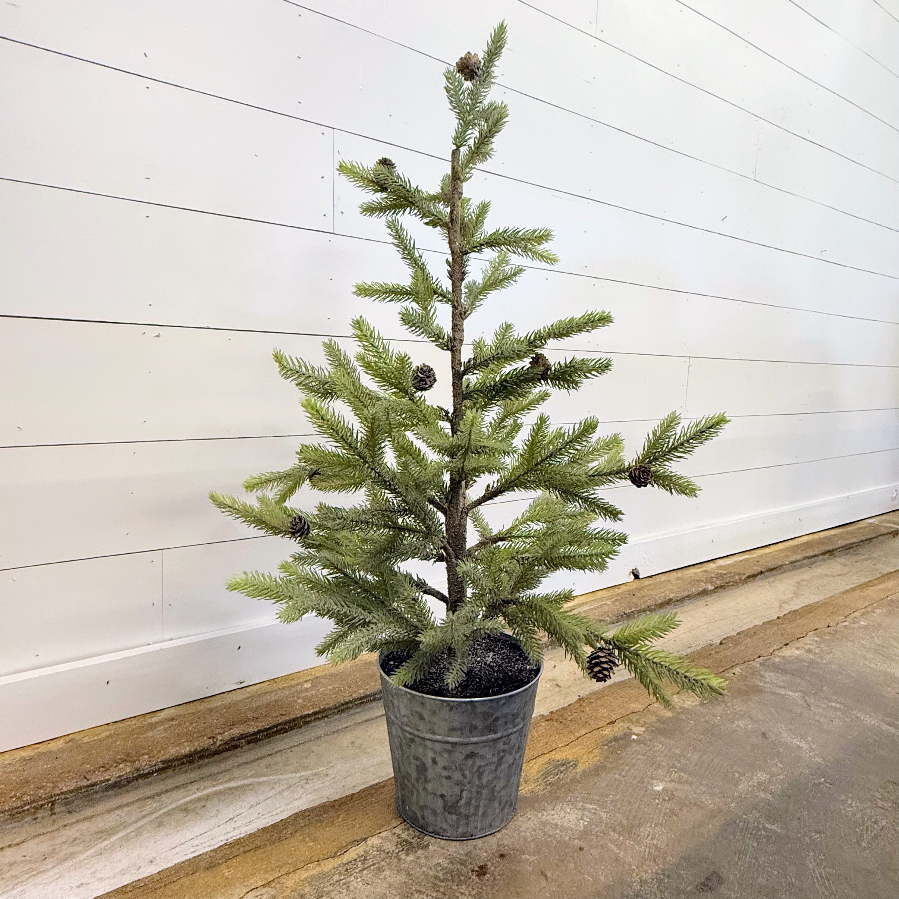 Bucket Tree – South of Kyle
