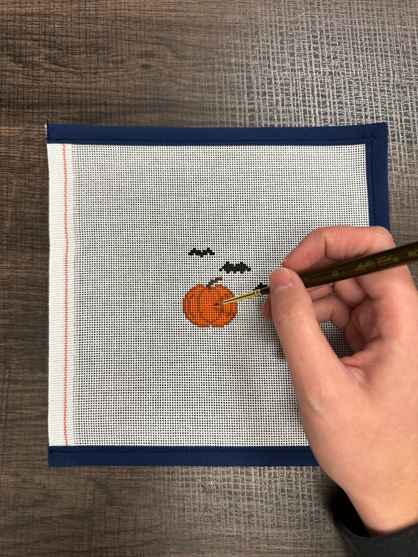 Paint Your Own Needlepoint Canvas with Sophia - Oct 10, 9am-11am
