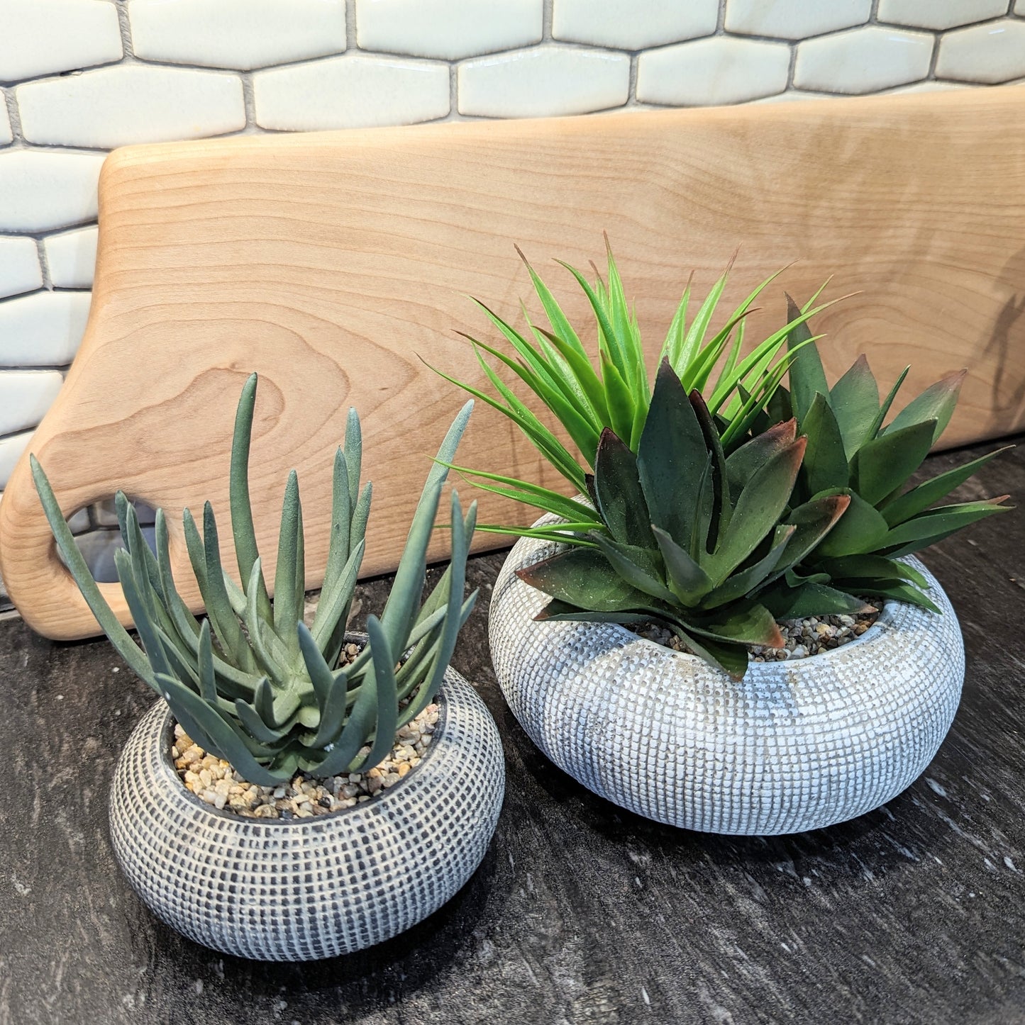 Succulent + Concrete Pot