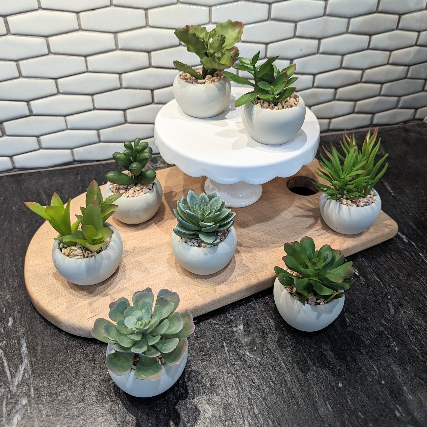 Mini Succulents