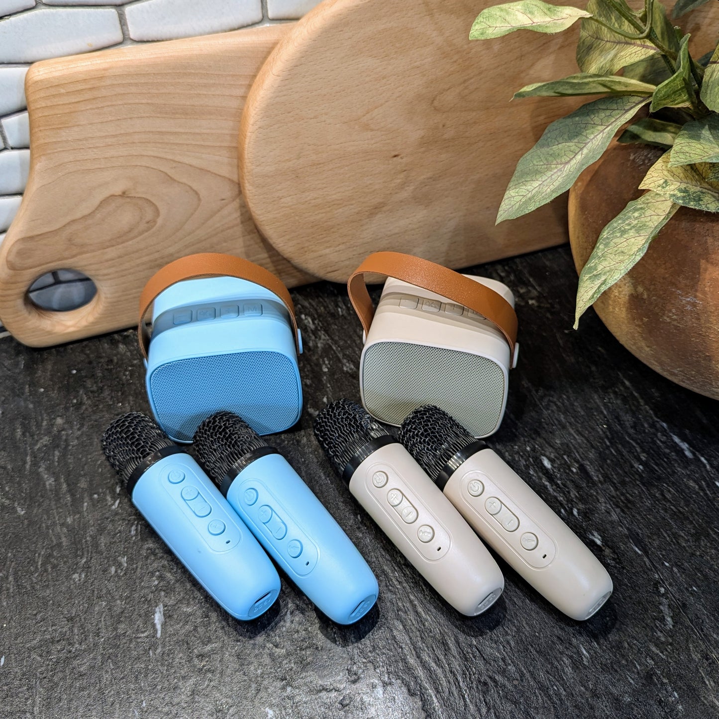 Mini Wireless Karaoke Speaker