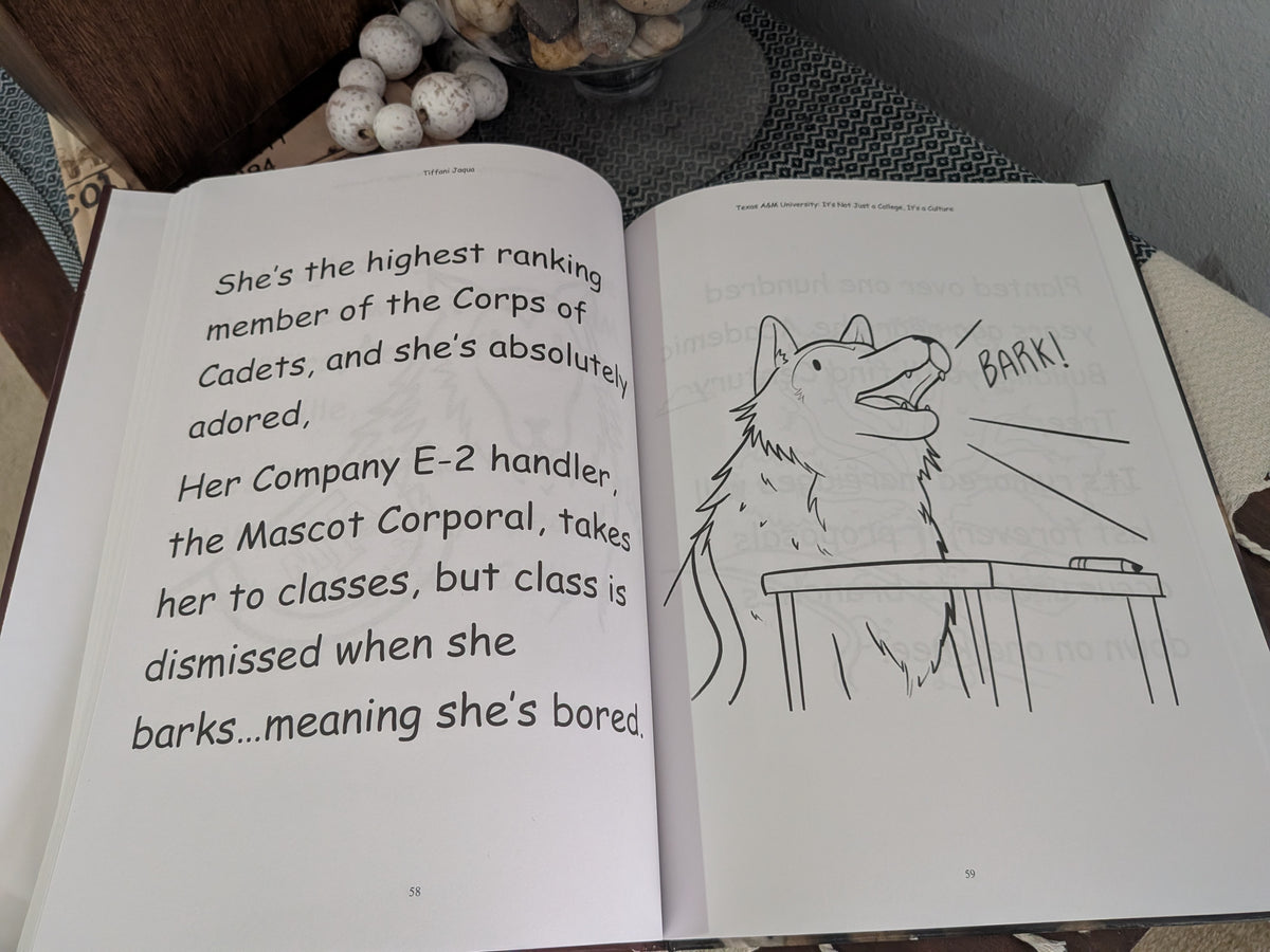 Texas A&M Poetry Book