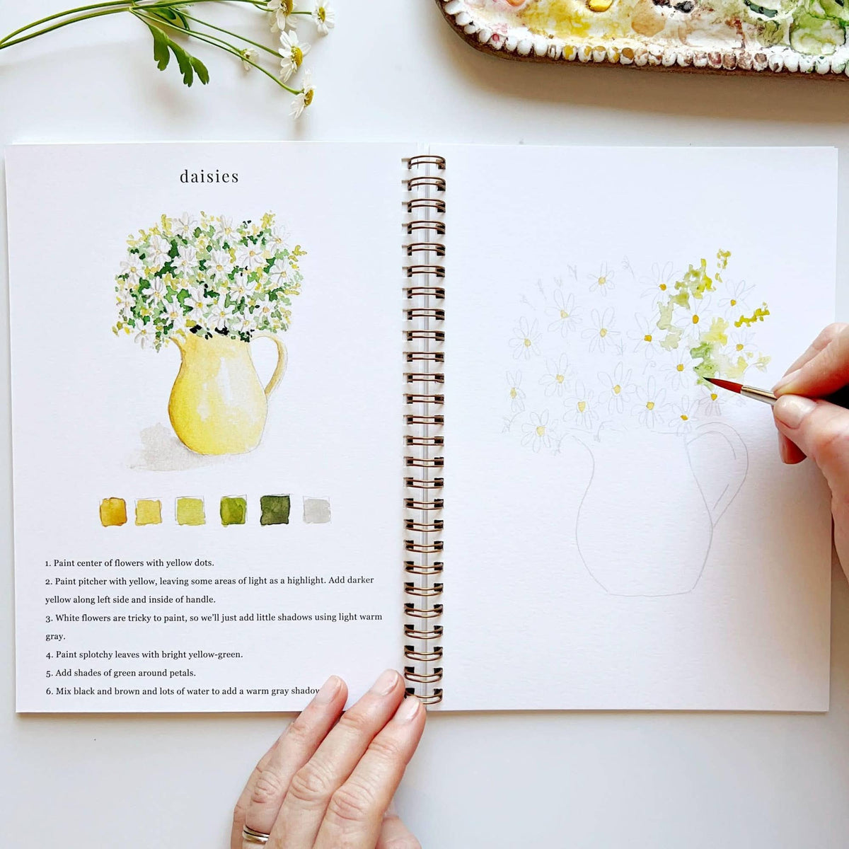 Watercolor Workbook