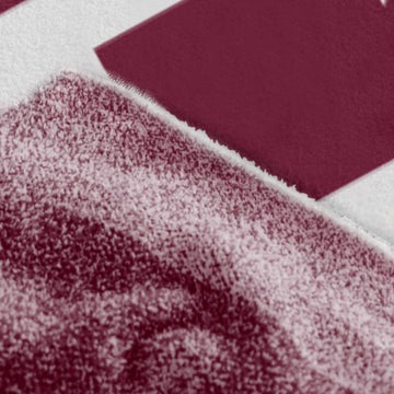 Texas A&M Luxe Dreams Throw Blanket
