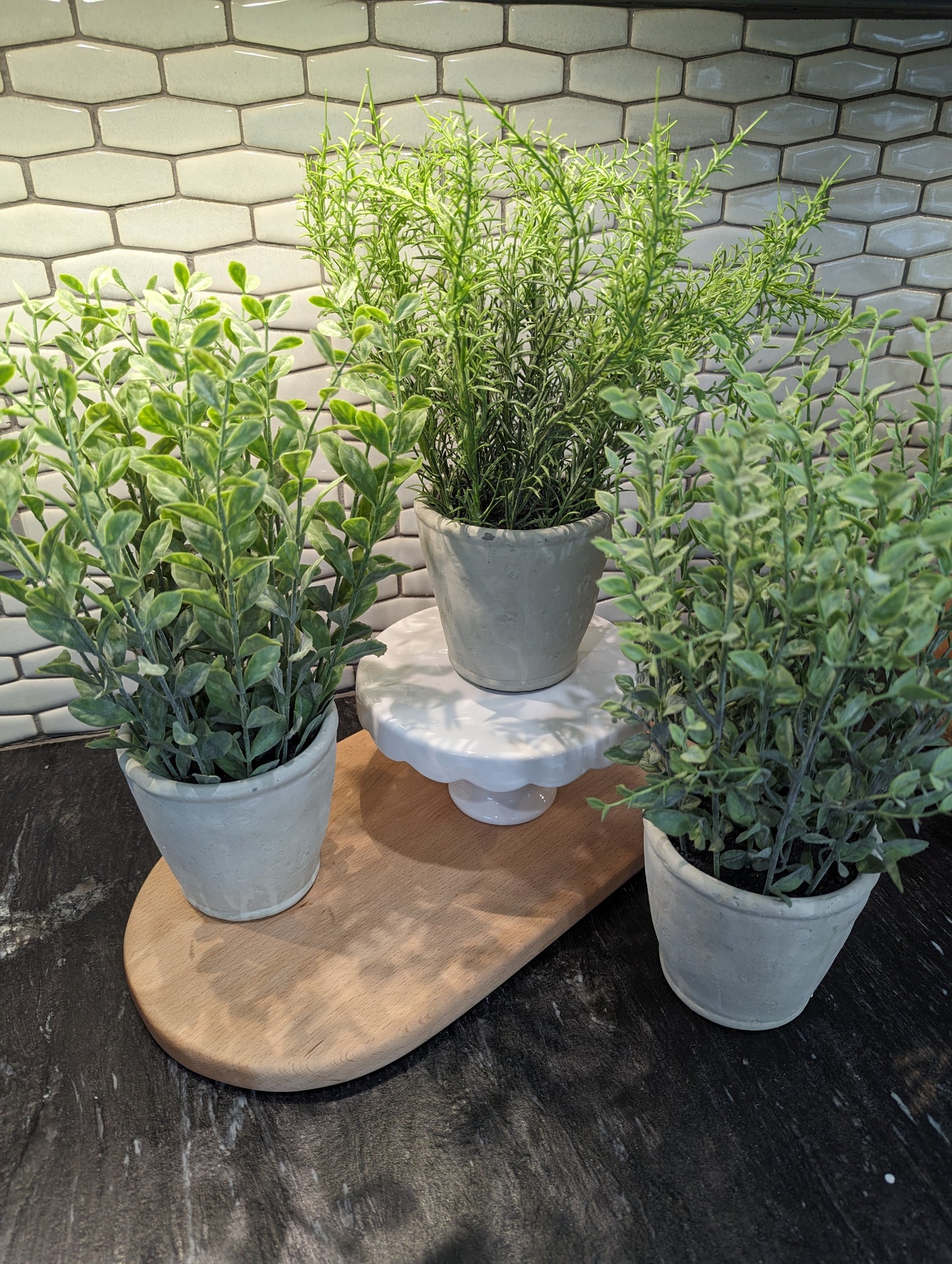 Herbs + Cement Pots